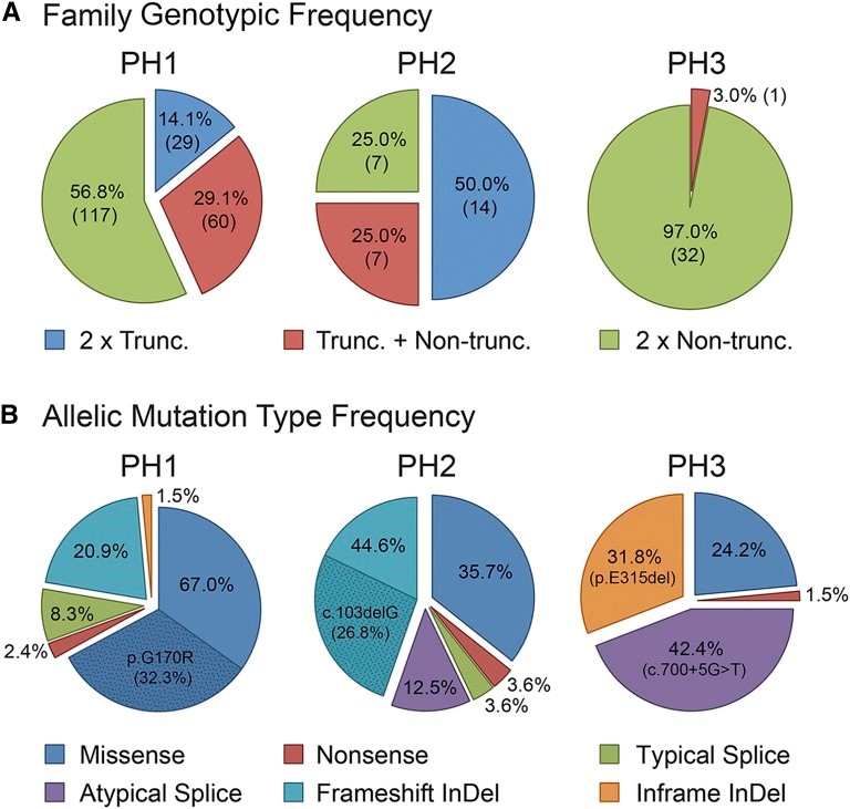 【基因检测前沿】佳学基因如何利用SpatialX平台揭示基因对生命活动的调节，推