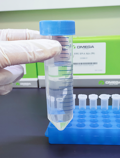 未来之星儿童天赋基因解码