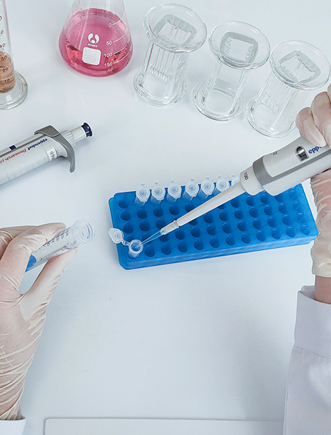 未来之星成长呵护基因解码 未来之星成长呵护基因解码