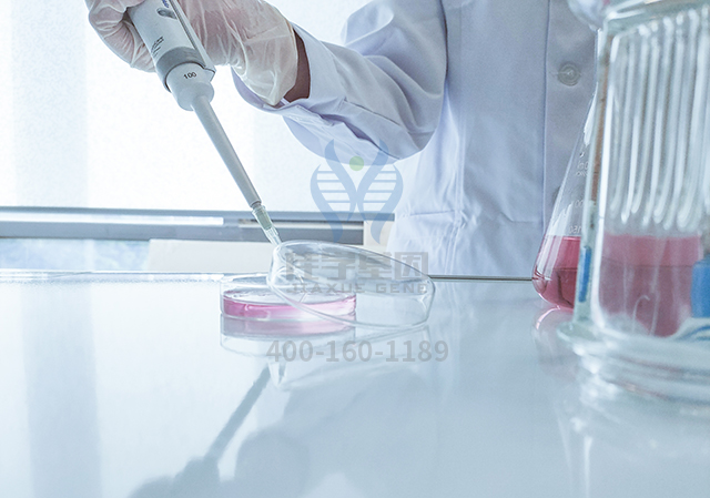 【佳学基因基因检测】脱发基因解码：让头发生长的基因