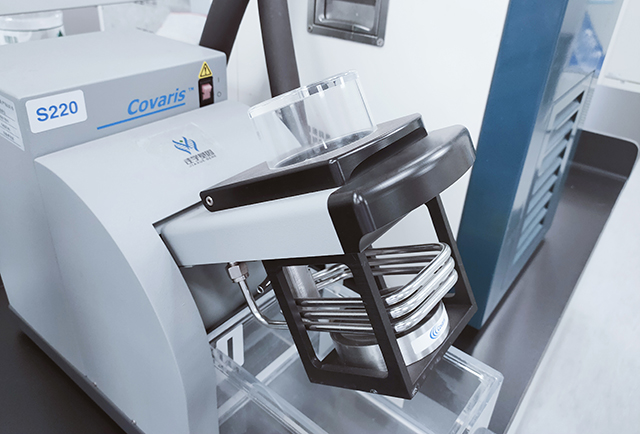 佳学基因解码之运动天赋基因解码