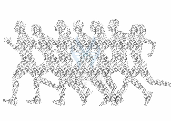 【佳学基因解码