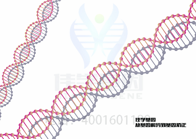 【佳学基因检测】需要多长时间可以拿振动性荨麻疹基因解码、基因检测报告？