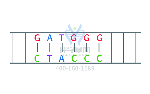 【佳学基因检测】做先天性红细胞生成性卟啉症基因解码、基因检测方便吗? 【佳学基因检测】做先天性红细胞生成性卟啉症基因解码、基因检测方便吗?