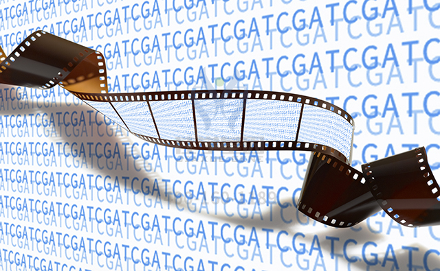 【佳学基因检测】面部畸形基因解码、基因检测的报告有人解读吗？