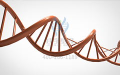 【佳学基因检测】阵发性心房颤动基因解码、基因检测的报告有人解读吗？