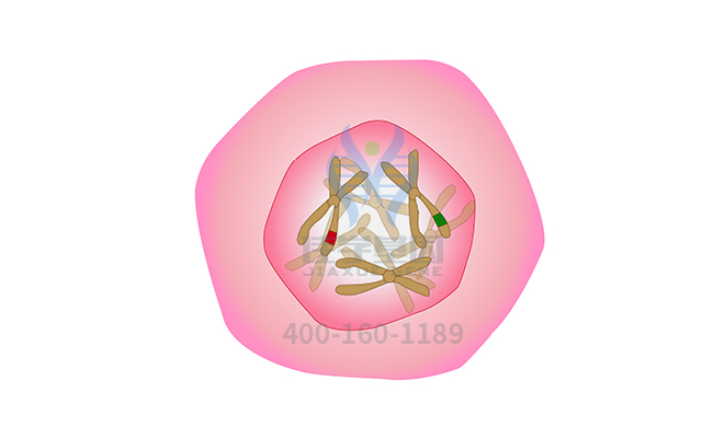 【佳学基因检测】阿司匹林精氨酸盐基因检测 【佳学基因检测】阿司匹林精氨酸盐基因检测