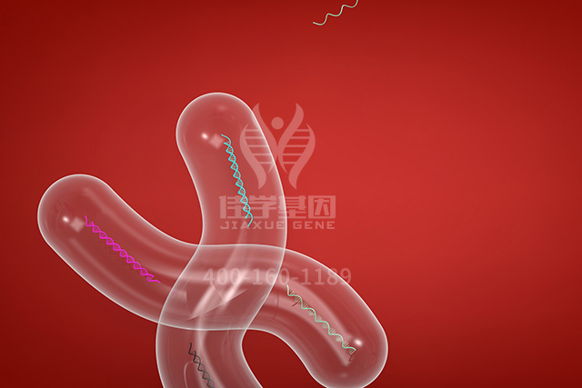 【佳学基因检测】看分子病理检测报告前，需要谙熟于心的ASS1P4知识