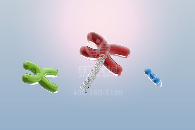 【佳学基因检测】盘古大模型ATP6V1E1突变检测的信息标签 【佳学基因检测】盘古大模型ATP6V1E1突变检测的信息标签