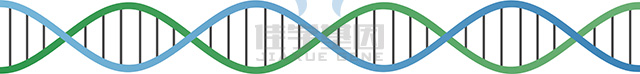 【佳学基因检测】用大白话讲清基因检测的方方面面