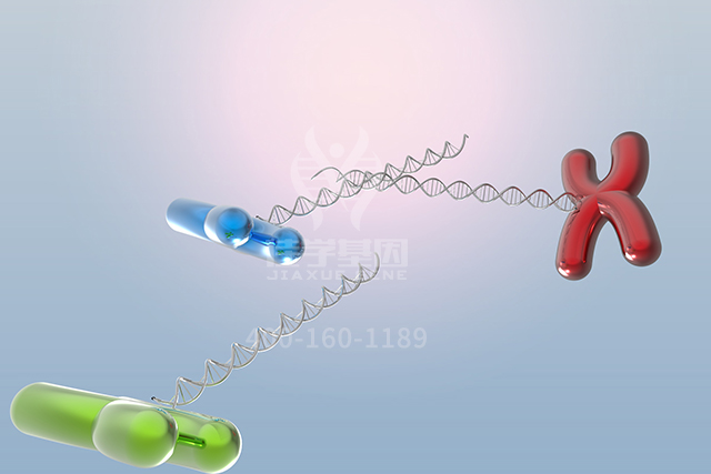 【佳学基因检测】文心一言中突变检测中关于ATP5PO的知识所包含的内容 【佳学基因检测】文心一言中突变检测中关于ATP5PO的知识所包含的内容