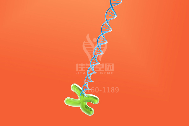 【佳学基因检测】知道ALDH7A1P4的这些内容,是分子病理检测全面性一个准备 【佳学基因检测】知道ALDH7A1P4的这些内容,是分子病理检测全面性一个准备