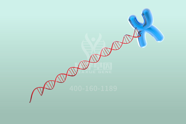 【佳学基因检测】骨科分子病理检测项目招标中关于ART2P的问题