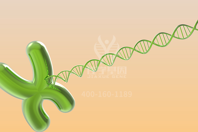 【佳学基因检测】ARSC2基因评估分析找到病因后应该用什么靶向药物？