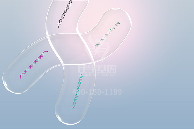 【佳学基因检测】讯飞星火认知大模型中ATP5MC2P1分子病理检测知识信息源分析 【佳学基因检测】讯飞星火认知大模型中ATP5MC2P1分子病理检测知识信息源分析