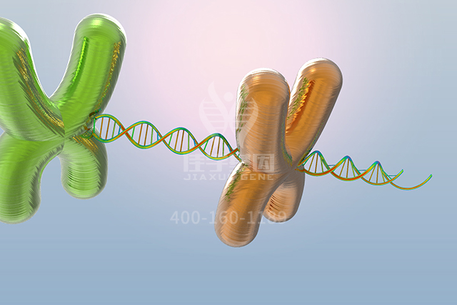 【佳学基因检测】这些关于ARF4P1的内容,是分子病理检测准确性的必要条件 【佳学基因检测】这些关于ARF4P1的内容,是分子病理检测准确性的必要条件