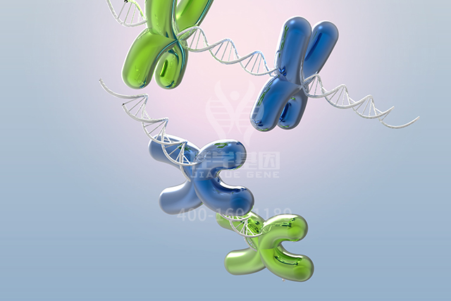 【佳学基因检测】医学院专升本关于HCN2突变检测的基本技能 【佳学基因检测】医学院专升本关于HCN2突变检测的基本技能