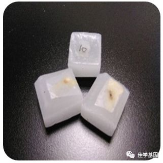 【佳学基因检测】基因检测、基因解码样品采集说明