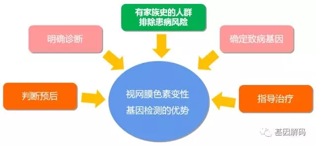 【佳学基因-基因检测】原发性视网膜色素变性基因检测 【佳学基因-基因检测】原发性视网膜色素变性基因检测