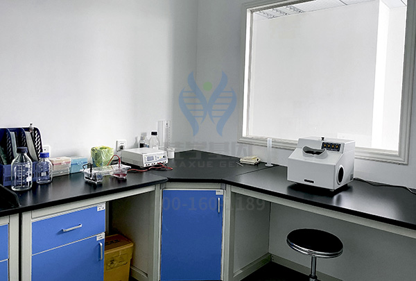 【佳学基因检测