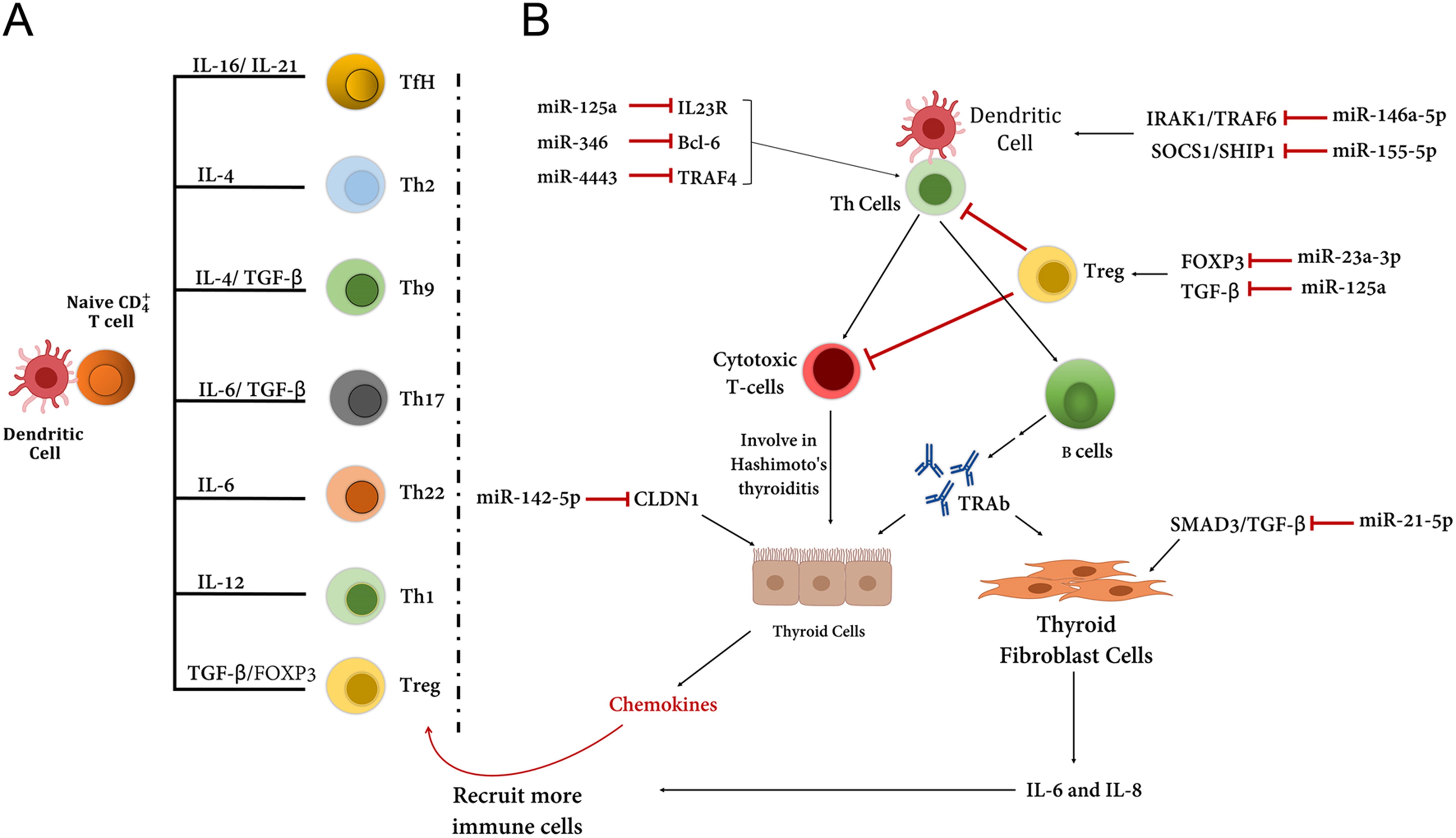【佳学基因检测】格雷夫斯病基因检测Graves disease