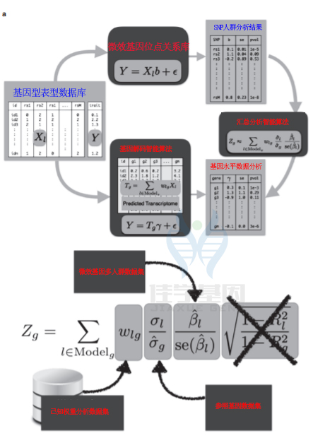 【佳学基因检测】腋下有味道就是狐臭吗？基因解码是怎样提高狐臭基因检测的准确性的？
