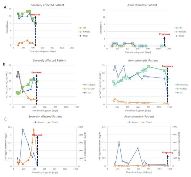 【佳学基因检测】基因检测纯合子双胞胎的临床表型变异性及对治疗法方案的差异性 【佳学基因检测】基因检测纯合子双胞胎的临床表型变异性及对治疗法方案的差异性