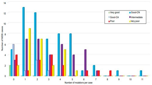 【佳学基因检测】骨髓增生异常综合征的基因解码与基因检测：诊断和筛查基础
