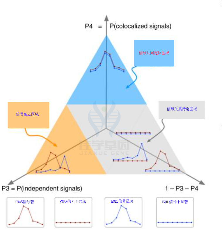 【佳学基因检测】基因解码提升肿瘤肺癌复发风险基因检测的大数据处理策略