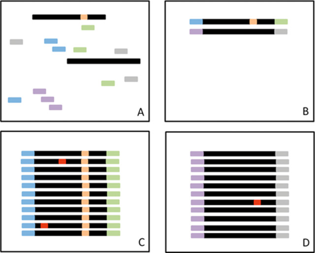 【佳学基因检测