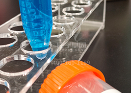 【佳学基因解码-基因检测】这些明星因肥胖而陨落，肥胖竟会导致这些癌症的爆发？