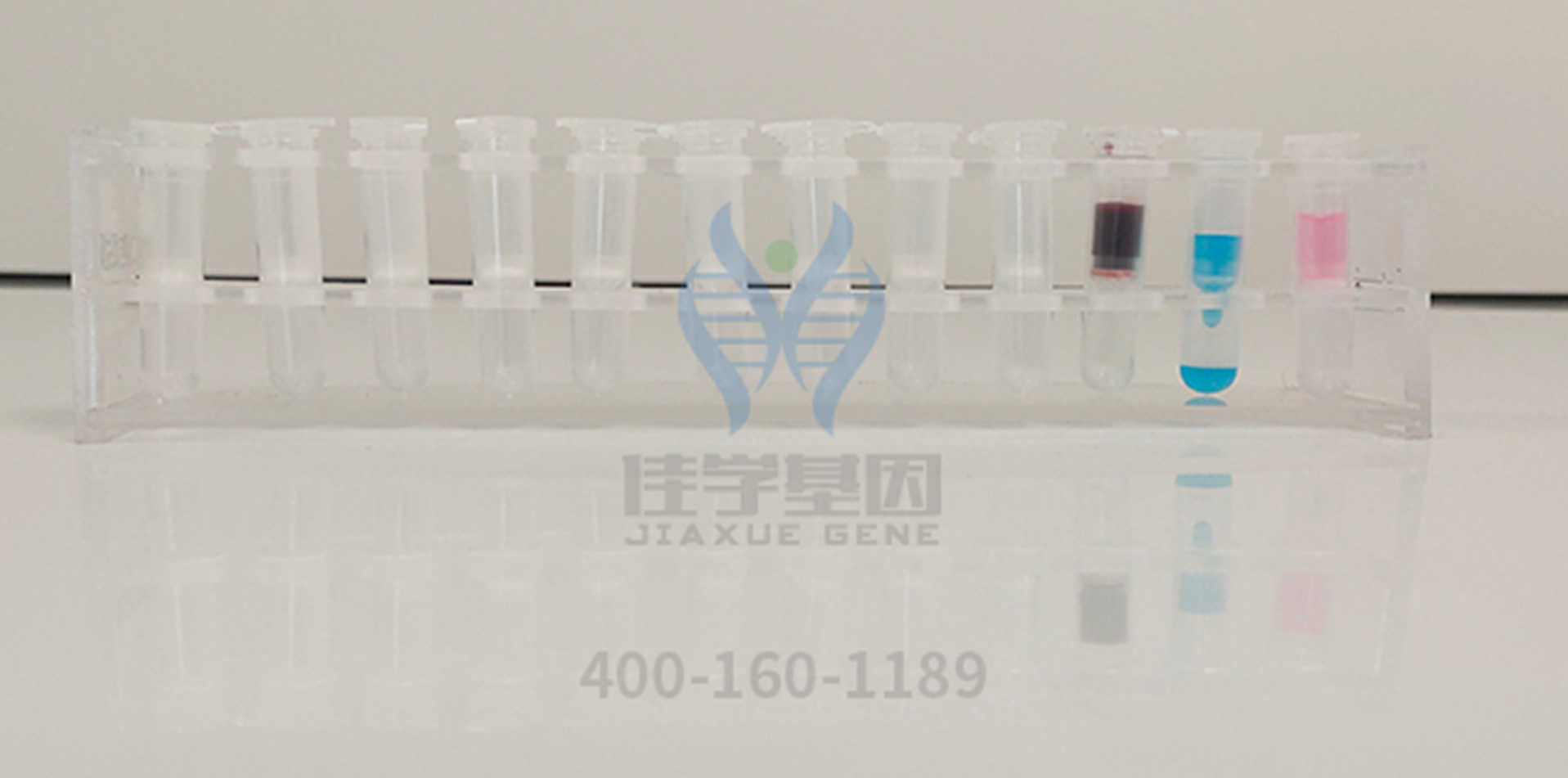 【佳学基因检测】结婚前基因检测，发现RCAN1基因突变，怎么办？