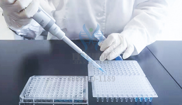 【佳学基因检测】语义记忆力基因解码、基因检测