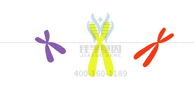 【佳学基因检测】避错能力基因解码基因检测 【佳学基因检测】避错能力基因解码基因检测