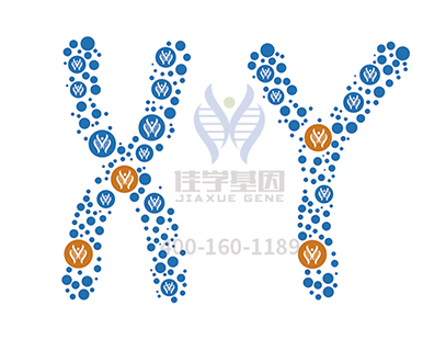 【佳学基因检测】脏器性肥胖基因解码、基因检测