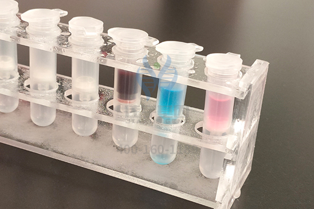 【佳学基因-基因检测】到底是什么疾病导致刚出生不久的宝宝湿疹严重、全身淤青？