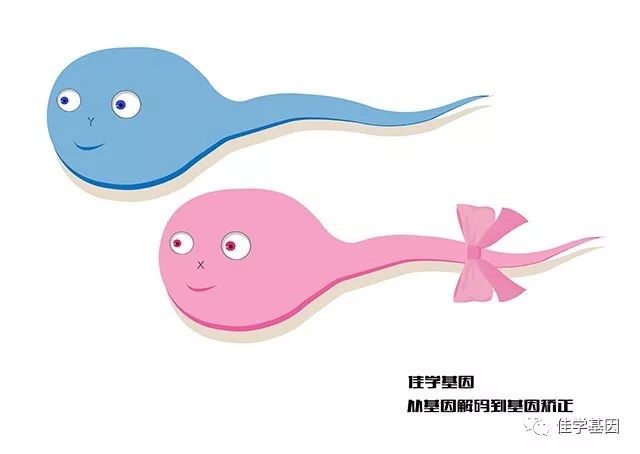 【佳学基因检测