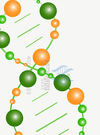 【佳学基因解码-基因检测】特发性肺动脉高压病基因解码基因检测