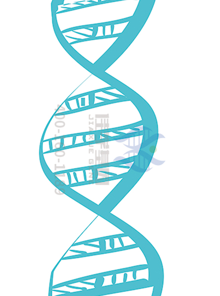 【佳学基因解码-基因检测】先天性红细胞生成障碍性贫血如何治疗？