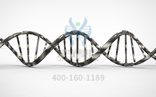 【基因检测】双