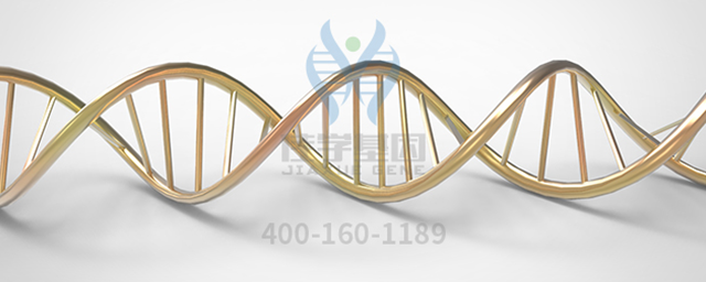 【佳学基因检测】基因检测指导维生素D治疗男性不育