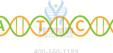 【佳学基因解码-基因检测】做了杜氏肌营养不良基因检测，没有结果怎么办？