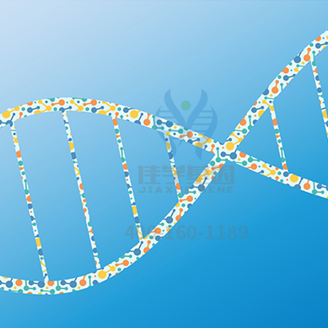 【佳学基因-基因检测】基因探索：中国人的基因带有“奴性基因”吗？
