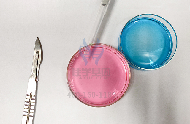 【佳学基因检测】解密EGI突变检测结果,如何指导一个的健康? 【佳学基因检测】解密EGI突变检测结果,如何指导一个的健康?