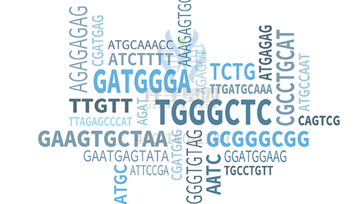 【佳学基因检测】DVL1突变检测突变是否需要再检测一次