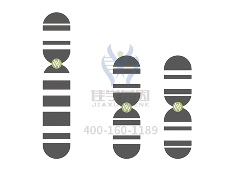 【佳学基因检测】EVPL分子病理检测的意义