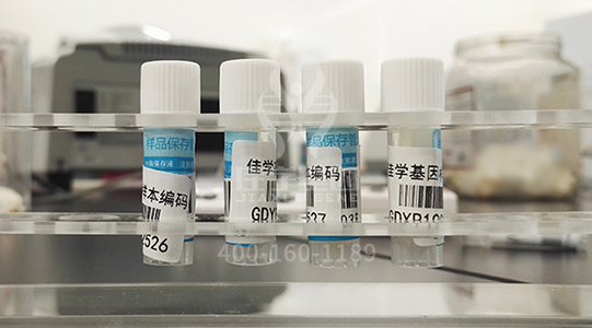 【佳学基因解码-基因检测】2018世界血友病日：分享知识 我们更坚强