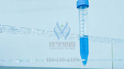 【佳学基因解码-基因检测】马拉松选手突发心梗，你真的适合跑马拉松吗？