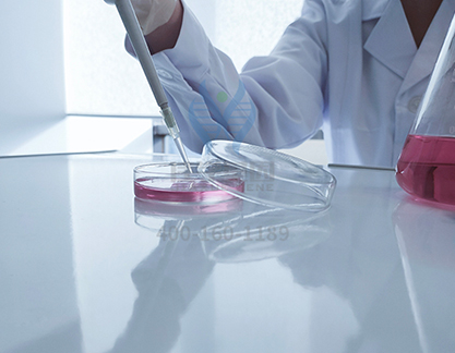 【佳学基因解码-基因检测】马拉松选手突发心梗，你真的适合跑马拉松吗？