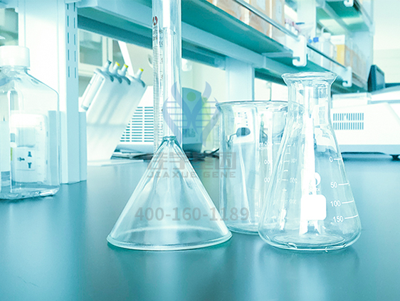 【佳学基因解码-基因检测】健康&酒精&癌症